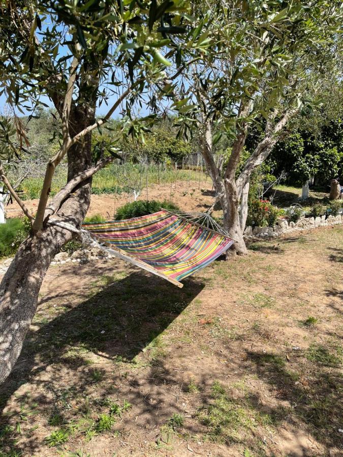 Villa Antigone'S Garden Halikounas Exterior foto